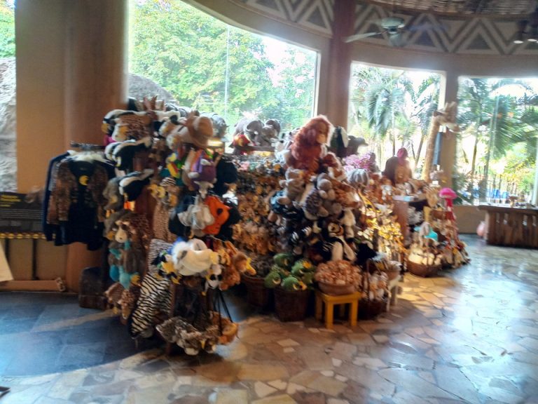 IMG_20200127_175748_3