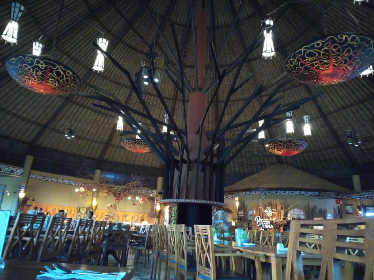 IMG_20200127_181914_3