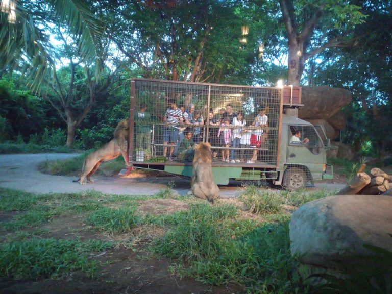 IMG_20200127_185302_1