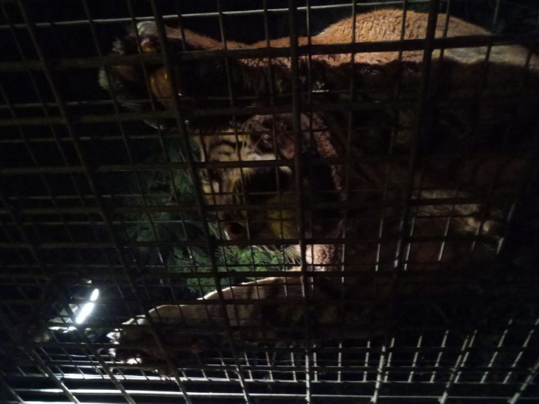 IMG_20200127_195643_9