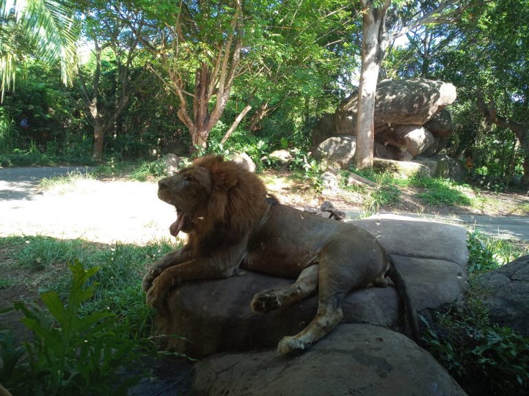 IMG_20200128_090707_0