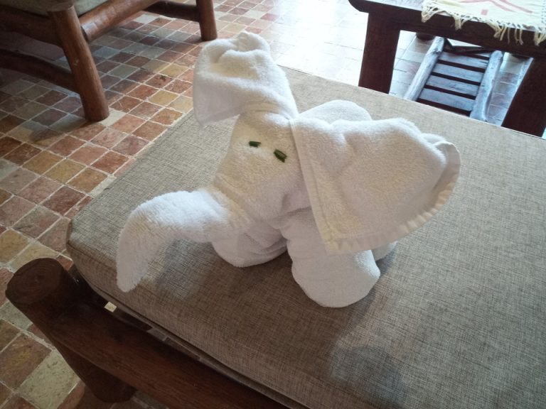 IMG_20200128_093610_1