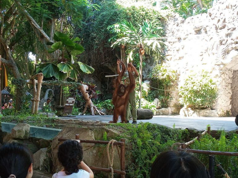 IMG_20200128_104600_4