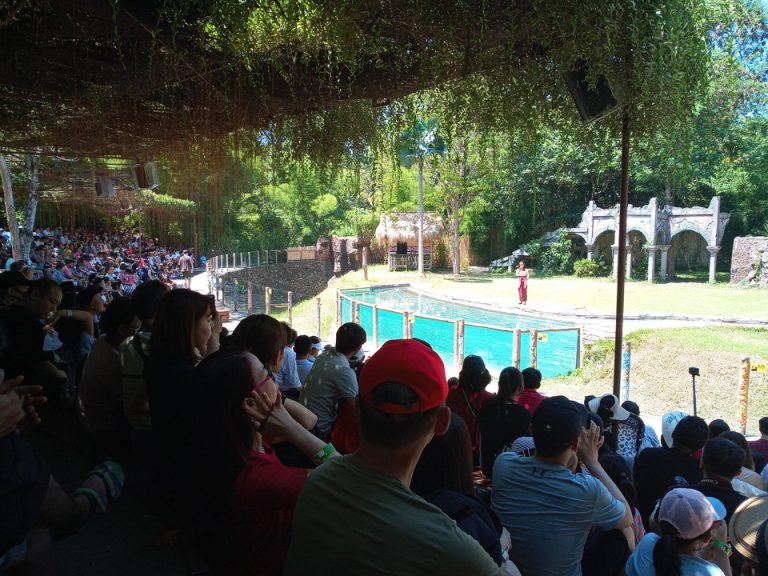 IMG_20200128_111620_5