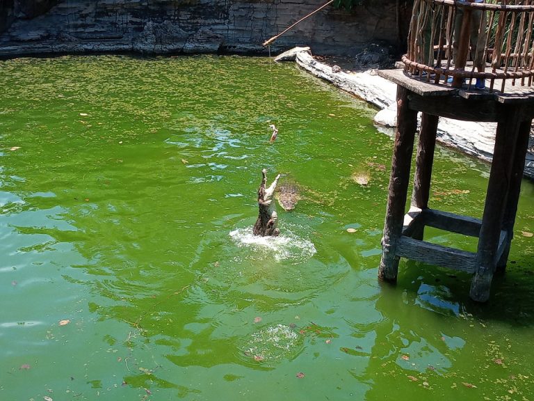 IMG_20200128_120115_8