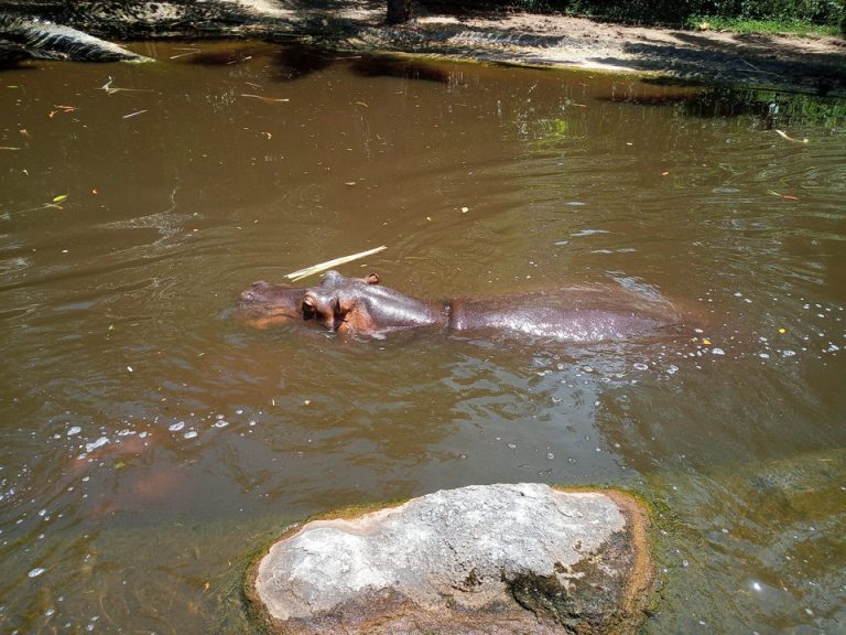 IMG_20200128_123156_8