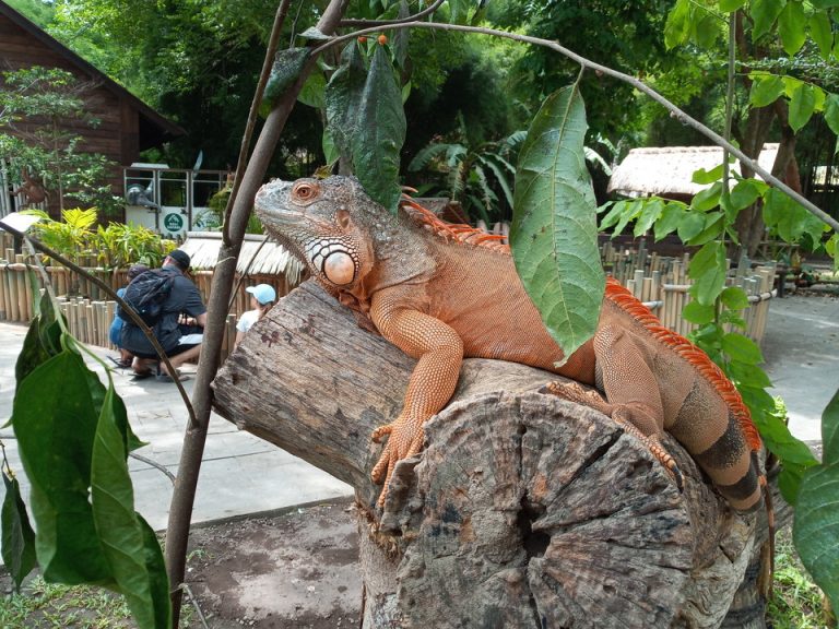 IMG_20200128_140237_0