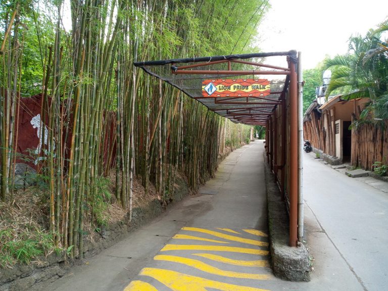 IMG_20200128_170835_5