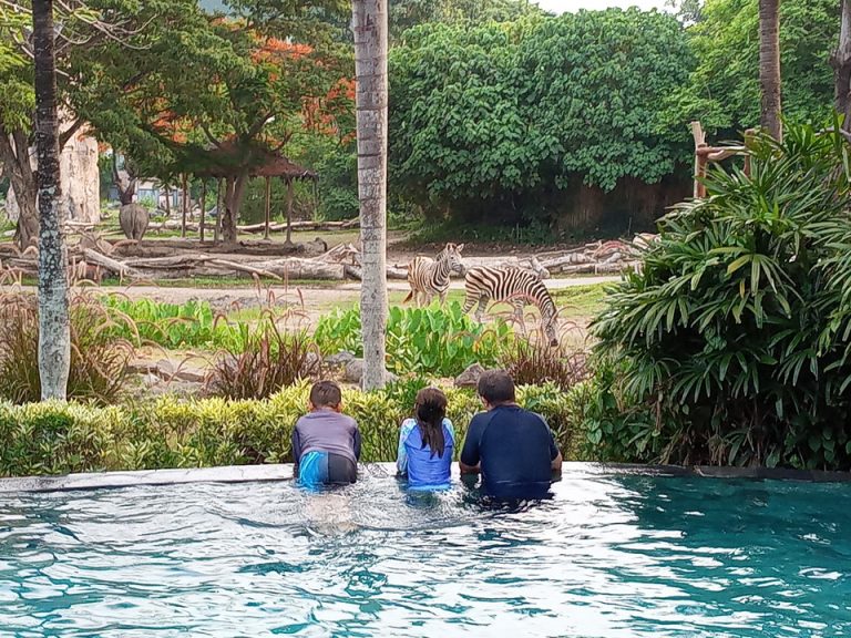 IMG_20200128_181014_7