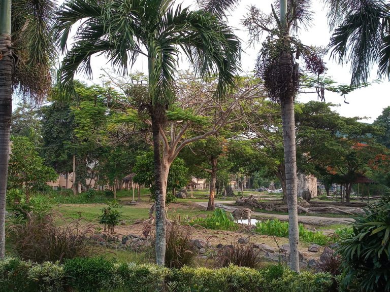 IMG_20200128_181803_4