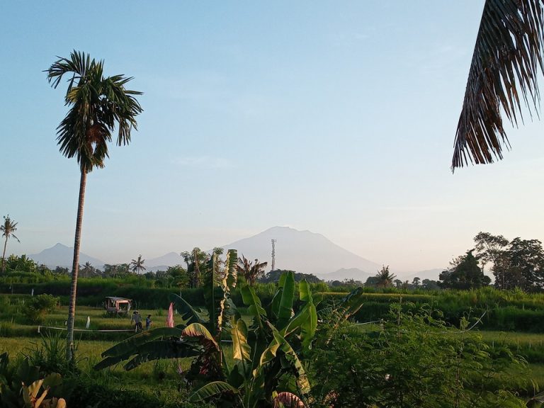 IMG_20200129_064251_3