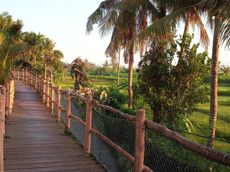 IMG_20200129_064525_1