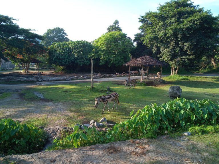 IMG_20200129_073543_7