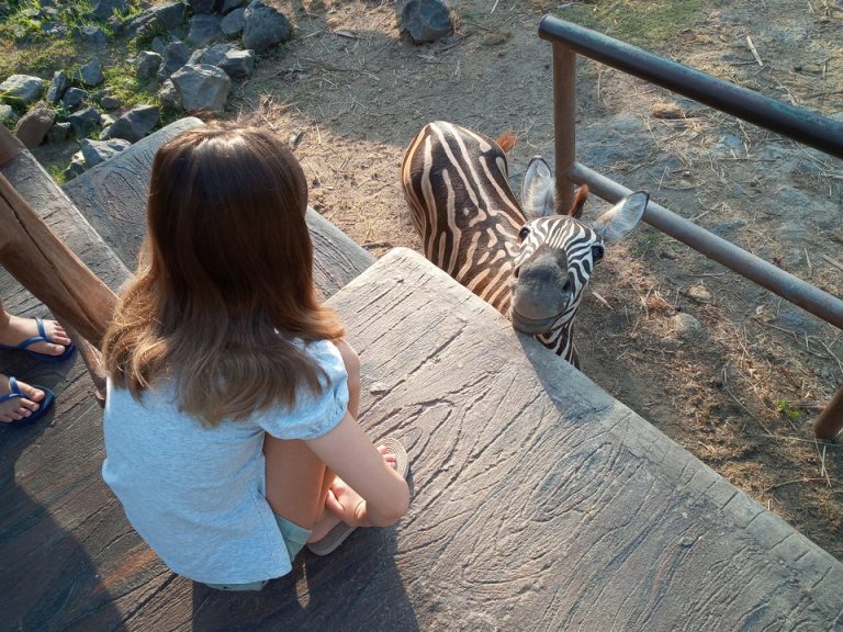 IMG_20200129_073903_7