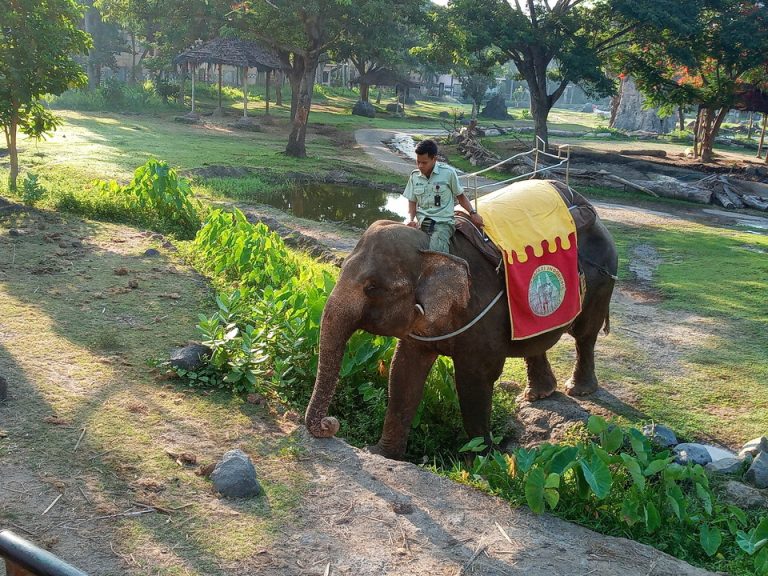 IMG_20200129_074253_5