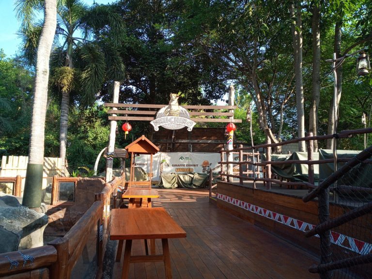 IMG_20200129_075011_2