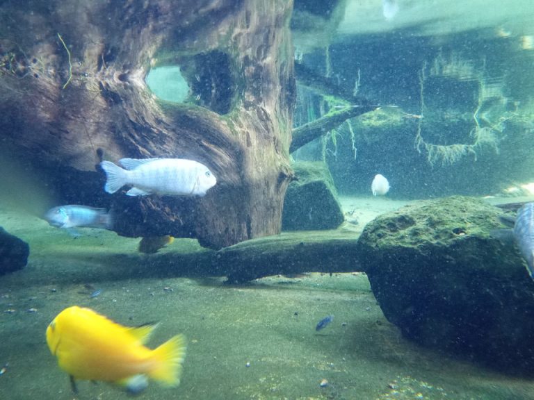 IMG_20200129_085316_3