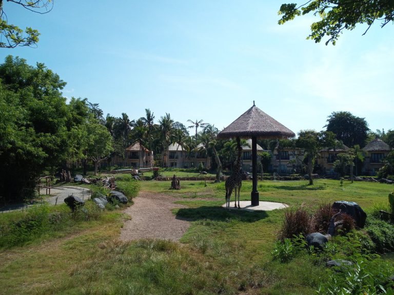 IMG_20200129_094947_0