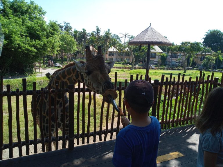 IMG_20200129_095123_6