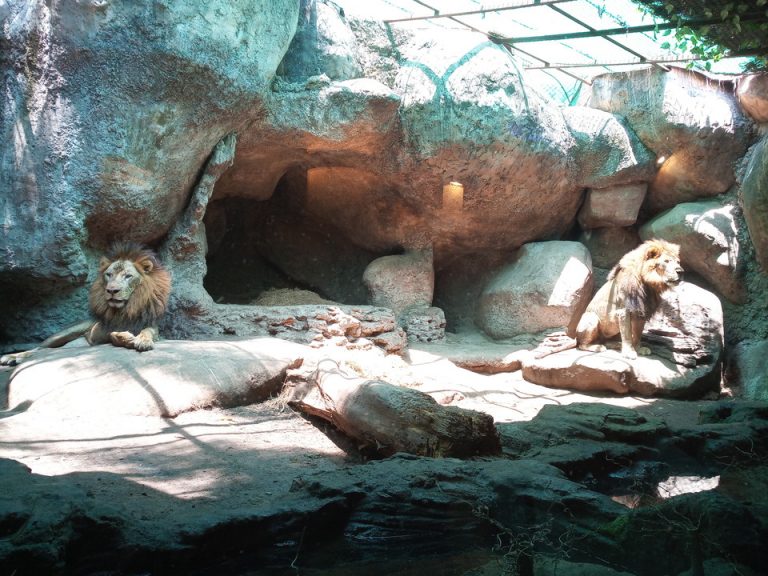 IMG_20200129_113816_0