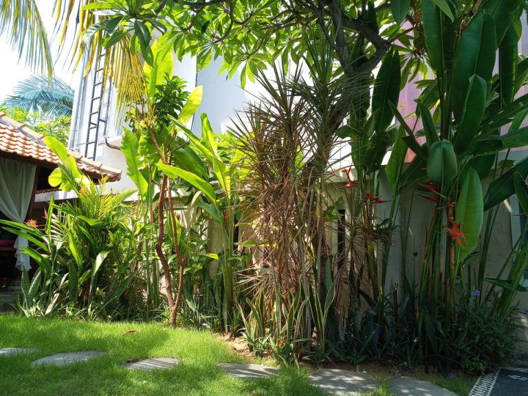 IMG_20200129_141201_1