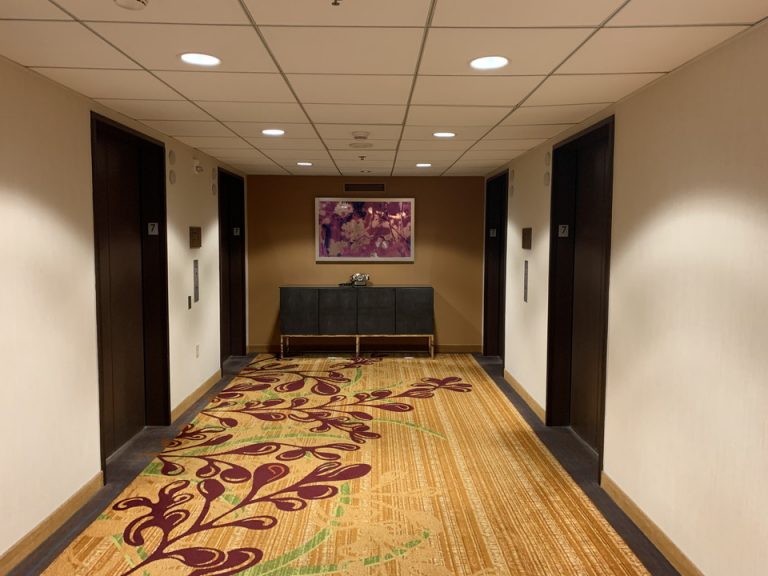 客室階エレベーターホール(1)