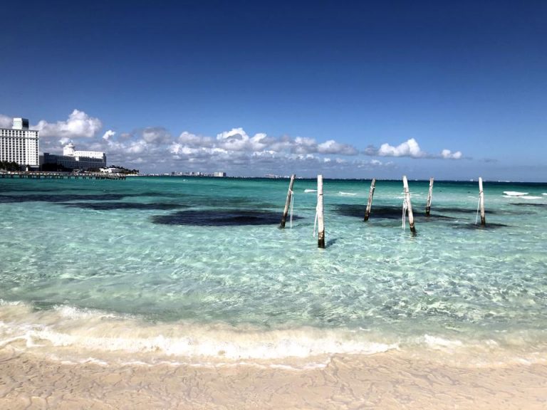 海に浸かれるハンモックがあります。