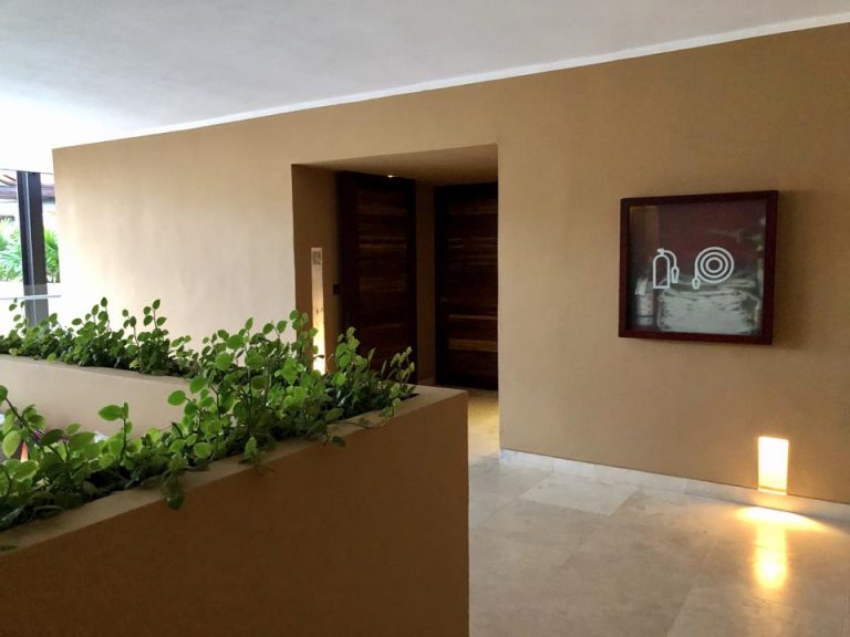 客室前は明るくて綺麗な廊下です