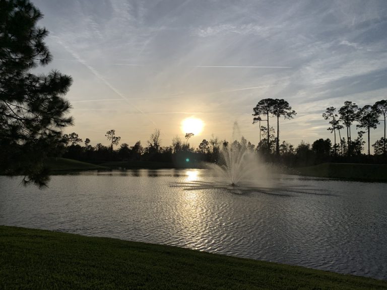 ホテル裏手の池