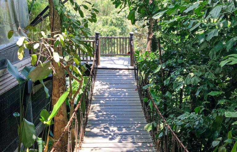 入り口付近廊下