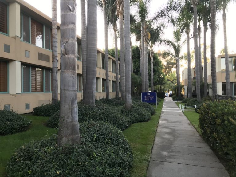 客室は4つ位の棟に分かれていて、この中庭の道を通って私たちはアクセスしました