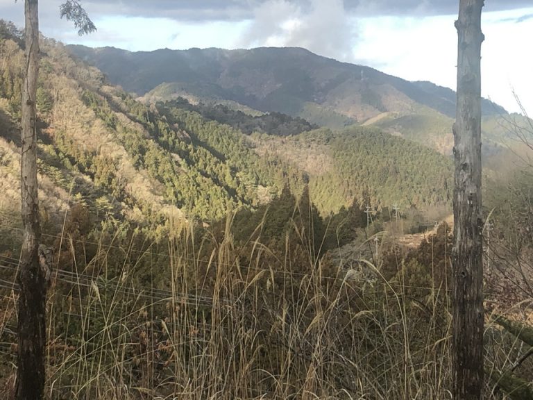 朝食会場外景色