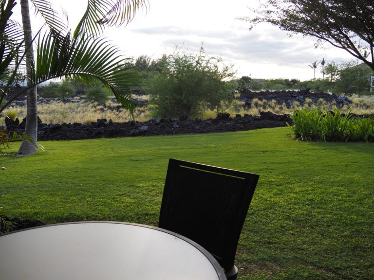 部屋からの眺望