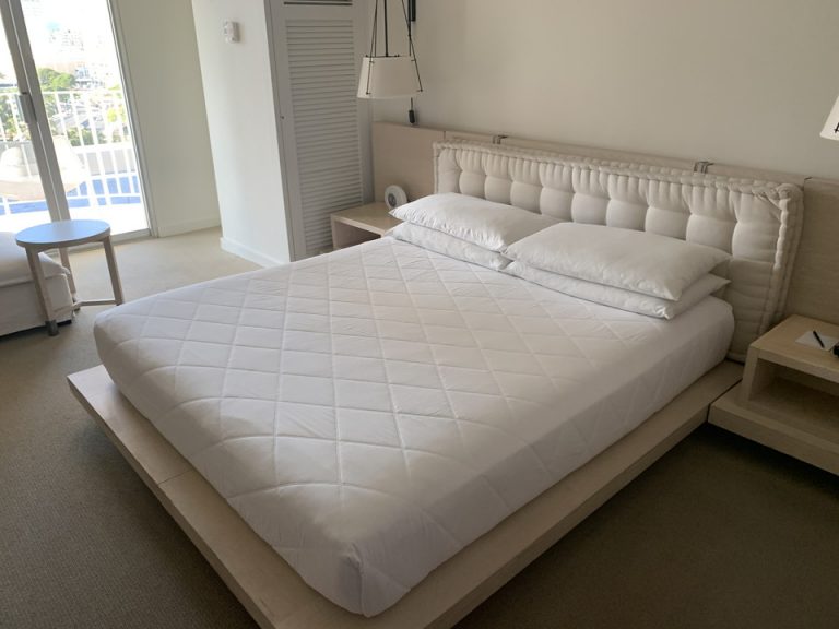 客室全体(入口方向)