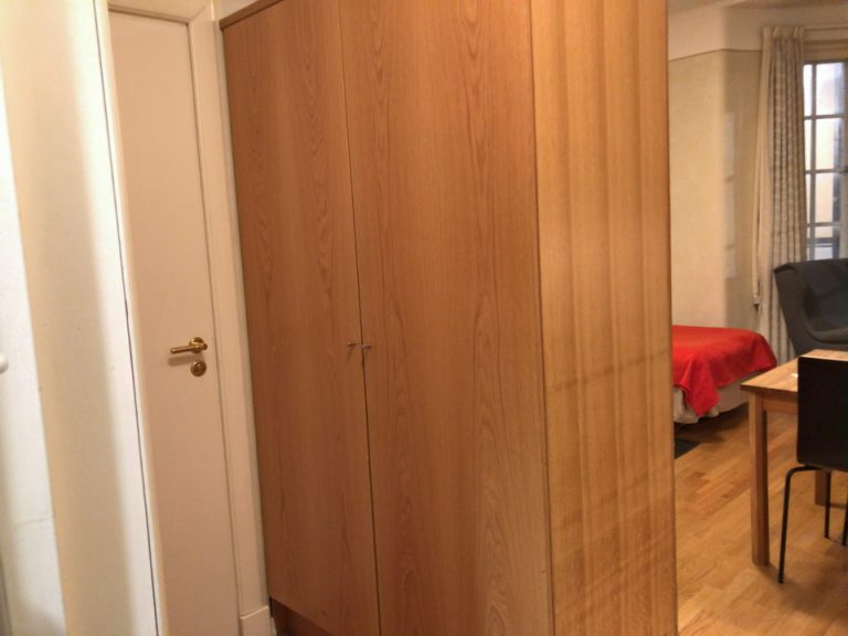 クローゼット外観(閉じた状態)