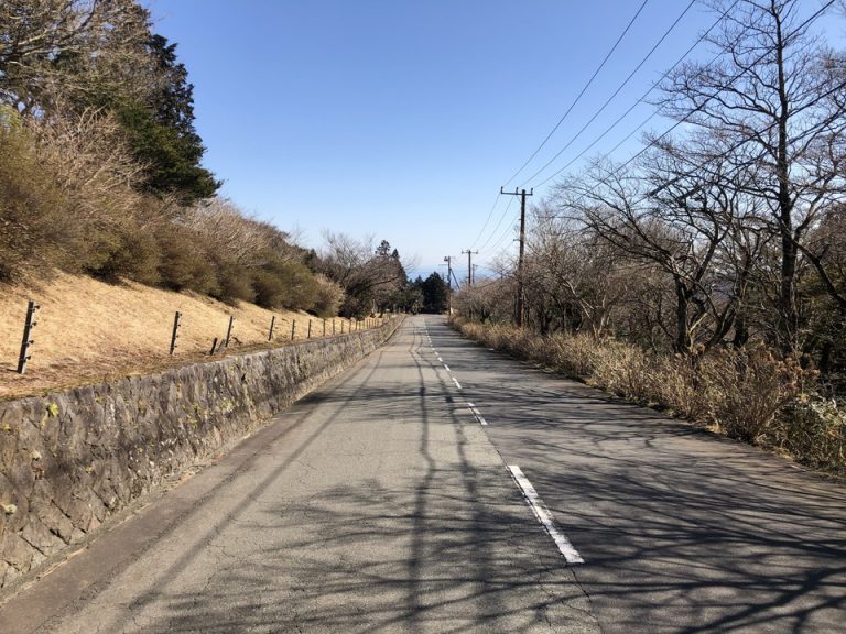 ホテルは標高の高いところにあるので坂道です