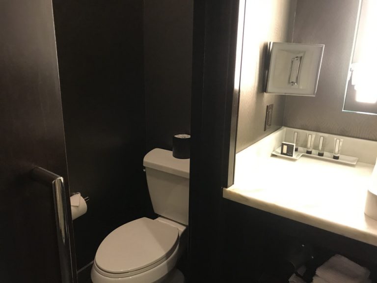 トイレは独立でした
