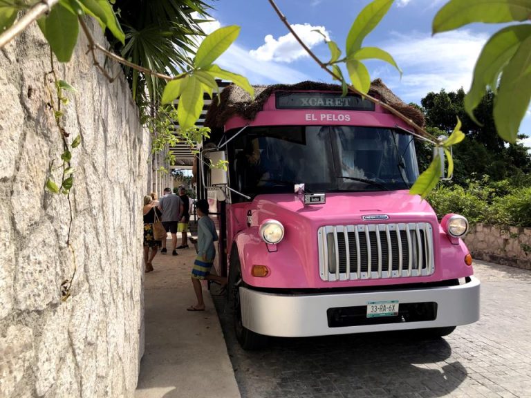 シカレ系列の公園の入場料は全てオールインクルーシブとなっており、ピンクのバスで送迎してもらえます。