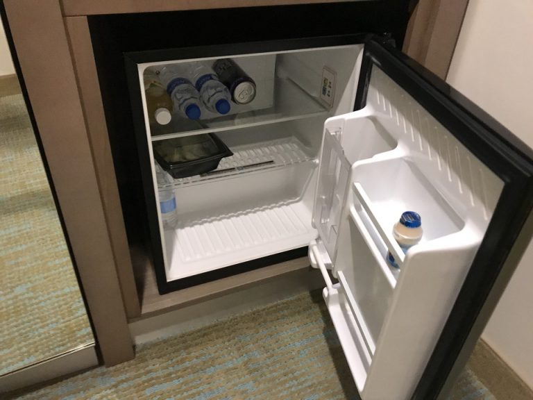 小さな冷蔵庫もあり持参した水や持ち帰ったフードなどを入れることができました