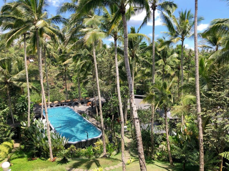 パブリックプール全貌