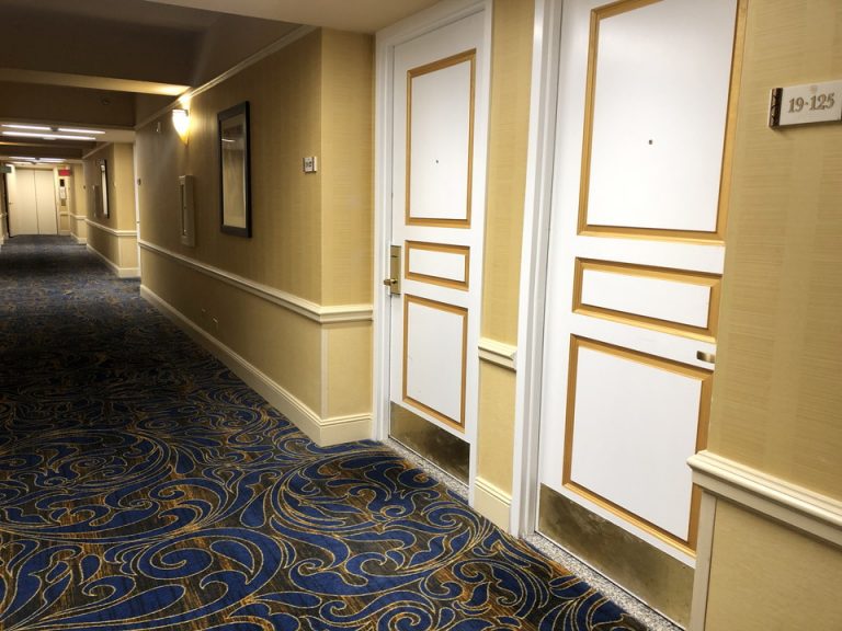 客室入り口付近廊下