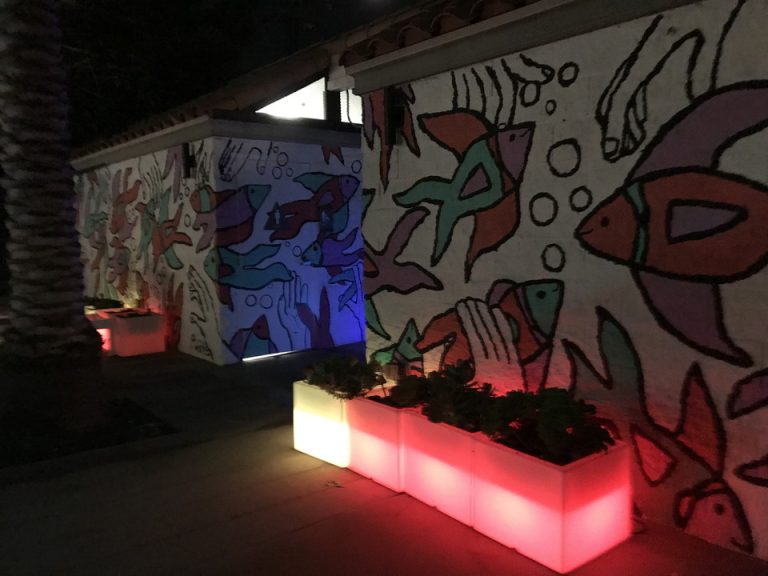 プールサイドにあしらわれている絵