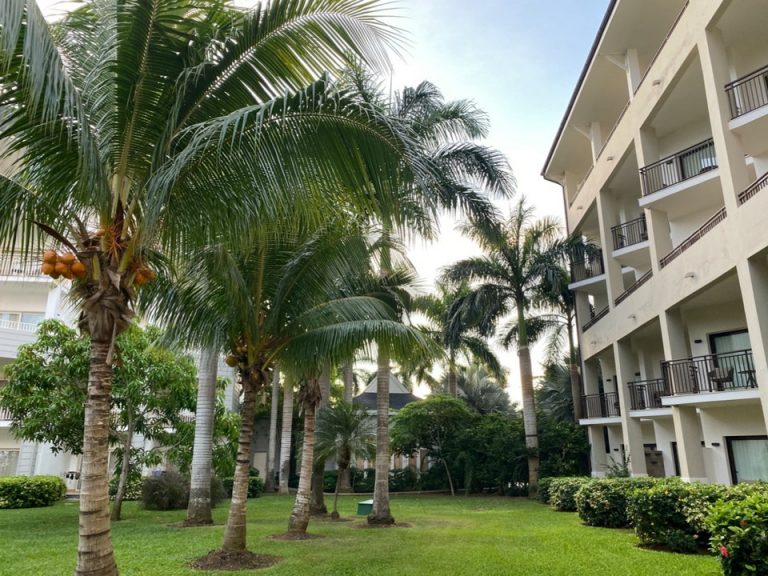 バルコニーからの景色3