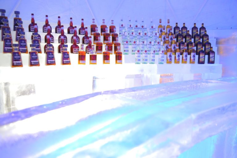 アイスヴィレッジ(1)