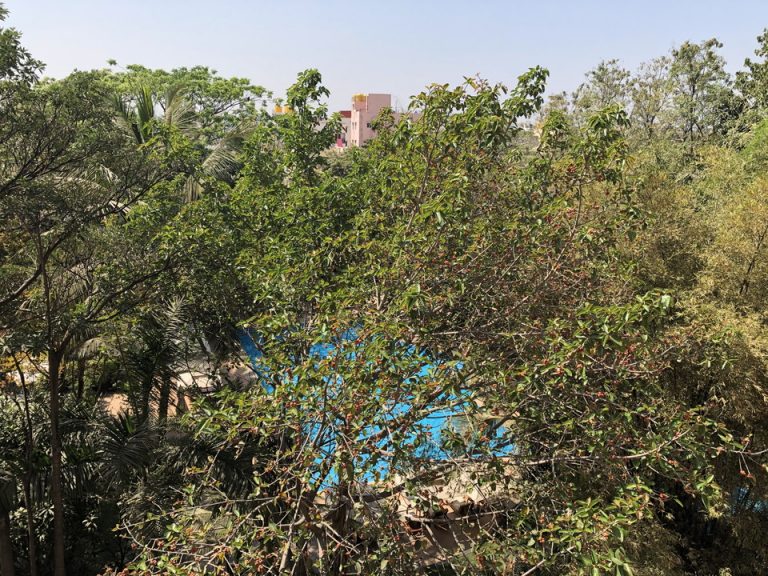 窓からの眺め②