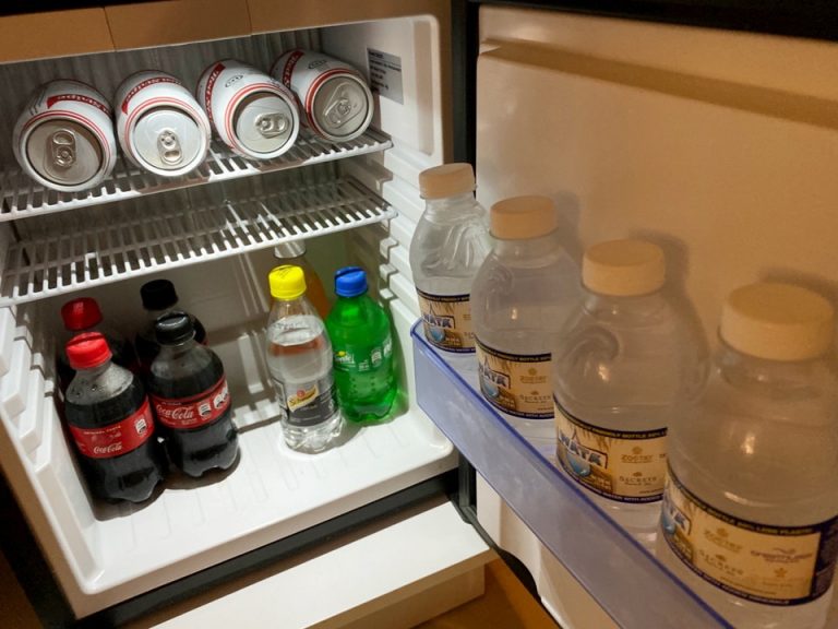 冷蔵庫(開けた状態)