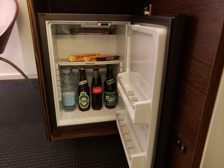 冷蔵庫(開けた状態)