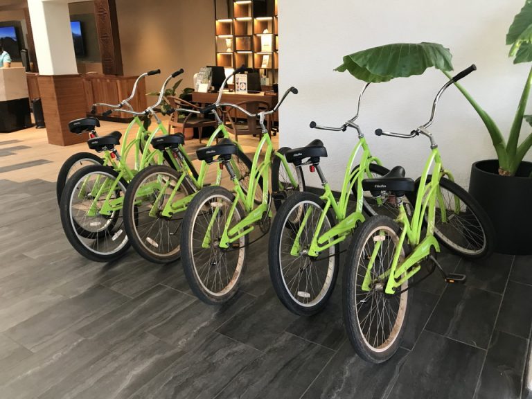 無料レンタルバイク