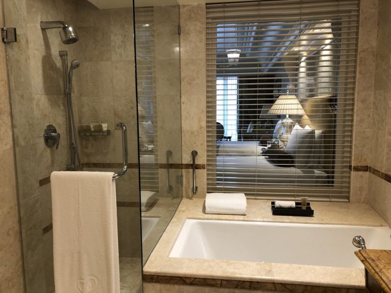 シャワー室とバスタブ