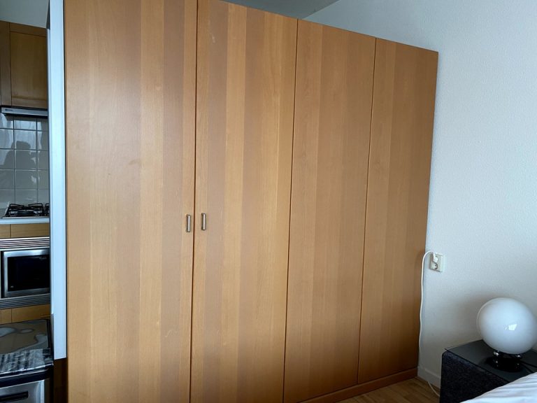 クローゼット外観(閉じた状態)1